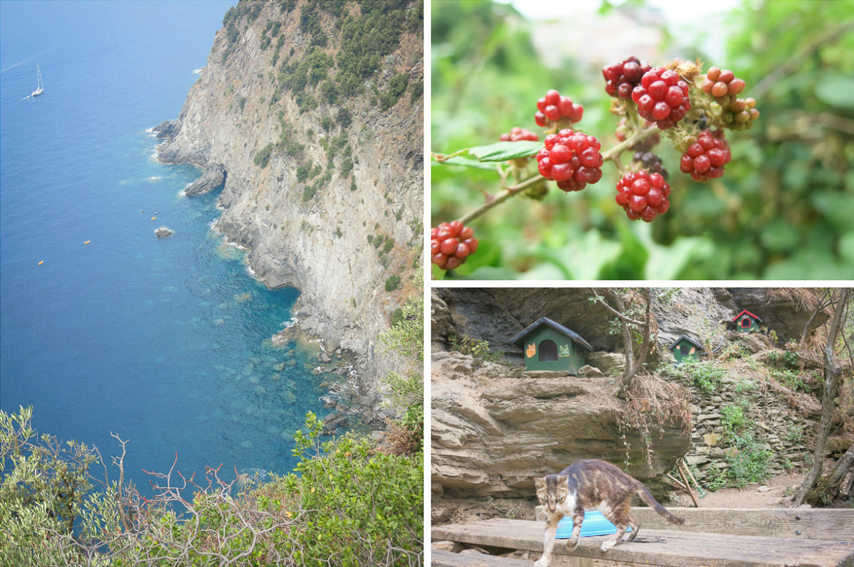 Vandring i Cinque Terre. Monterosso - Vernaza - Corniglia
