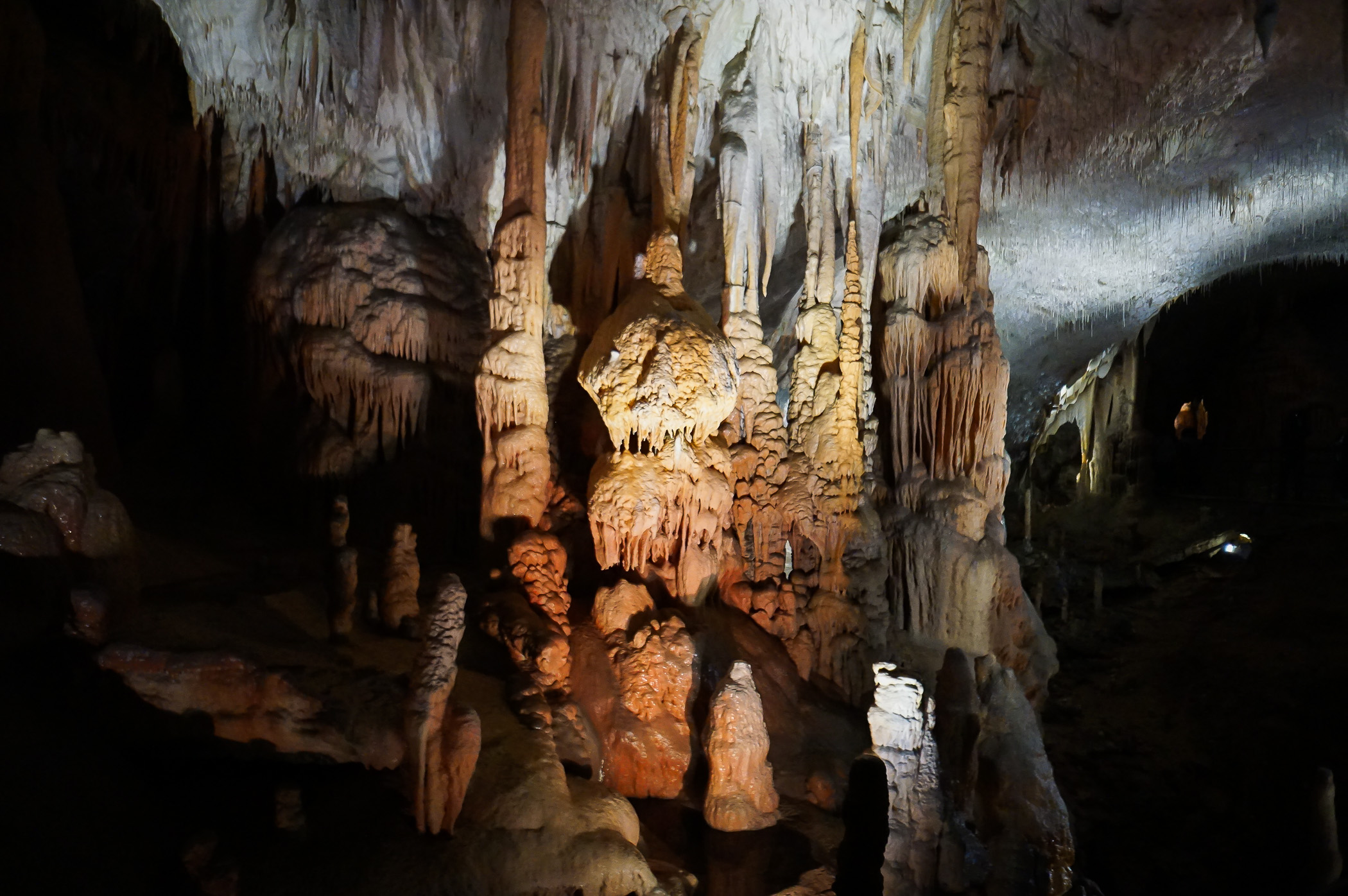 slovenien postonja grotta